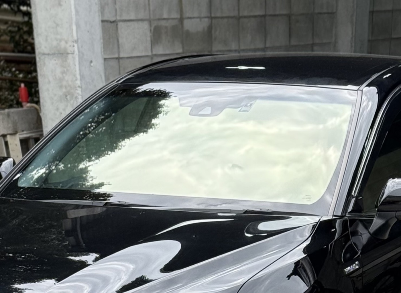 スパッタゴールドを施工した黒い車